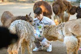 La passion des animaux