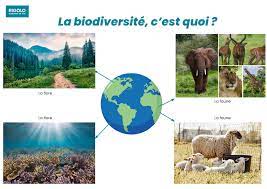 passionnés par la conservation