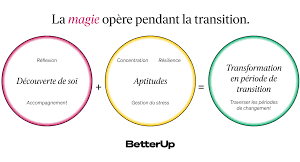 transitions de carrière