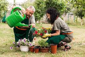  jardin écologique