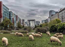 laboratoire de l'agriculture