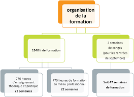 évolution professionnelle