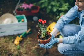  l'entretien de votre jardin 