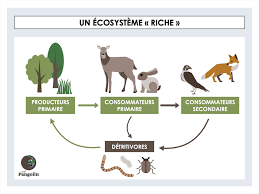 préservation des espaces verts 