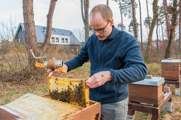 « La récolte du miel en ville : Le travail minutieux de l’apiculteur parisien »