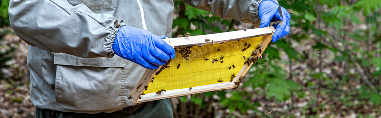 produits dérivés de la ruche
