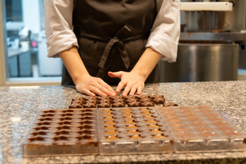 « Chocolaterie et Influence des Tendances Alimentaires : Adapation et Innovation »